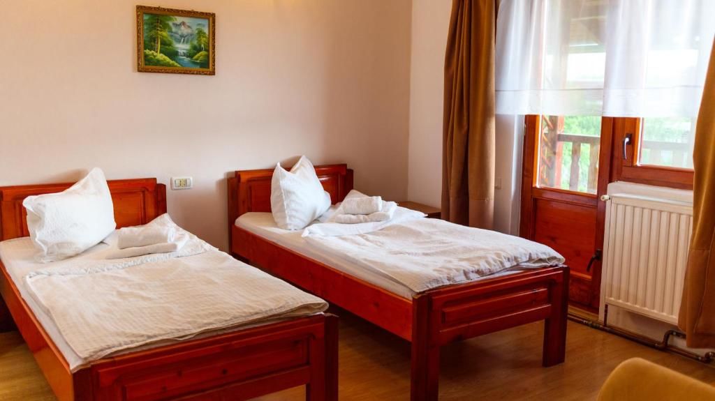 Гостевой дом Pension Ladyna Sebiş-30